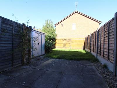 Picture 8
